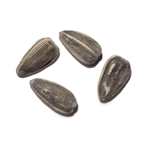 Sunflower seeds PNG-42946